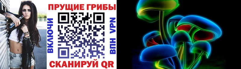 OMG ТОР  Луховицы  Галлюциногенные грибы ЛСД 